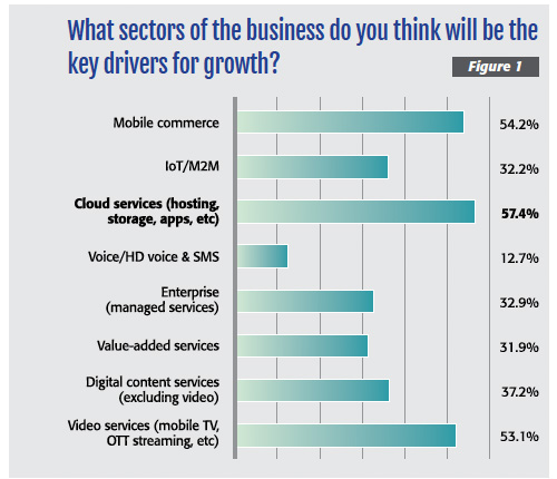 Figure 1: What sectors of the business do you think will be the key drivers for growth?