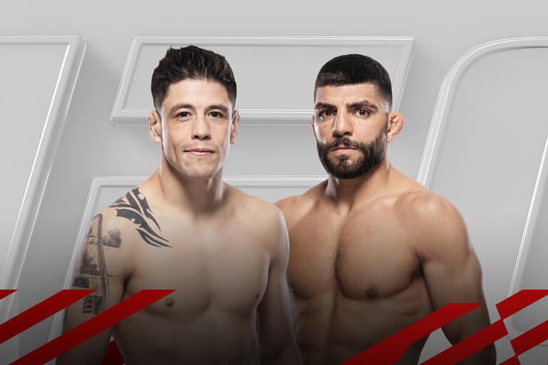 Brandon Moreno x Amir Albazi: palpites, onde assistir e que horas vai passar - UFC - 02/11/2024