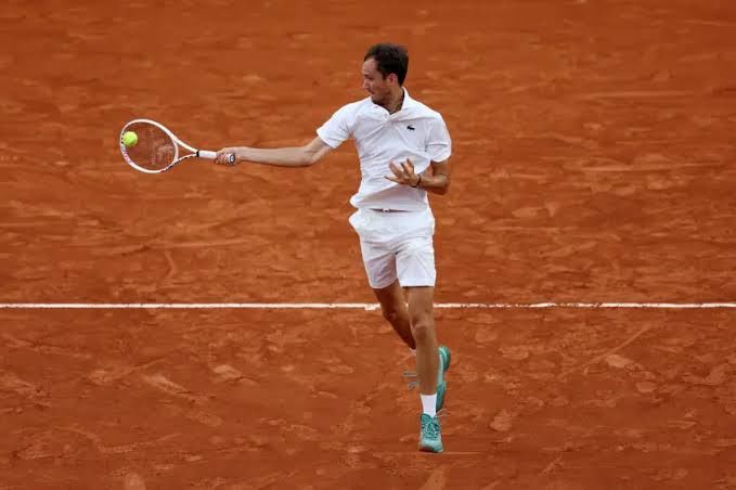 Sebastian Ofner vs Daniil Medvedev Prediction, Betting Tips and Odds | 30 July 2024