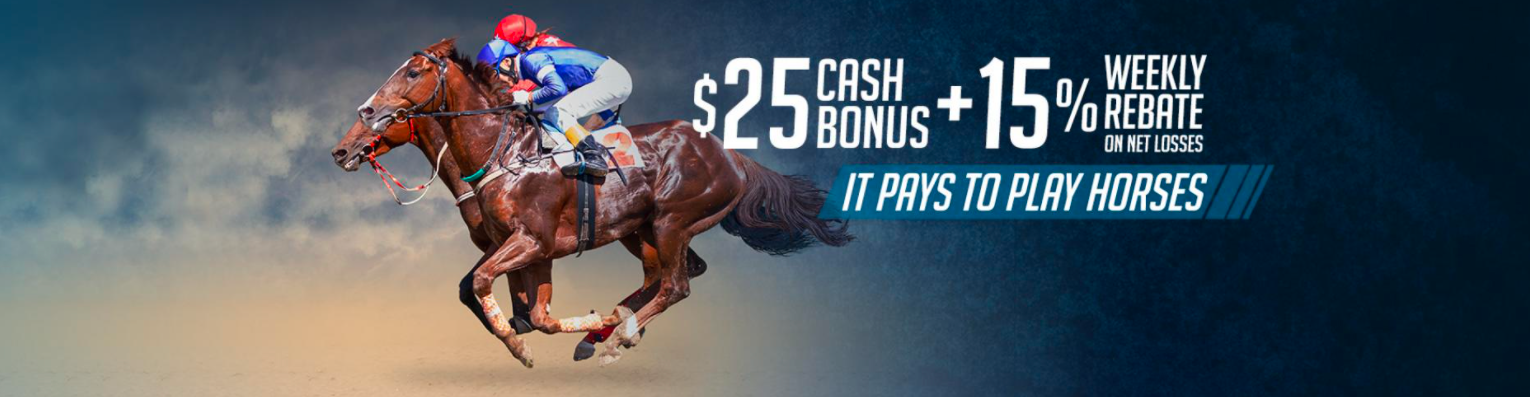 Betphoenix It pays to play horses