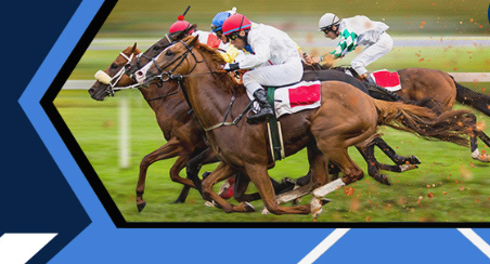 Sunbet Beaten by a Head or Less Free Bet up to R500
