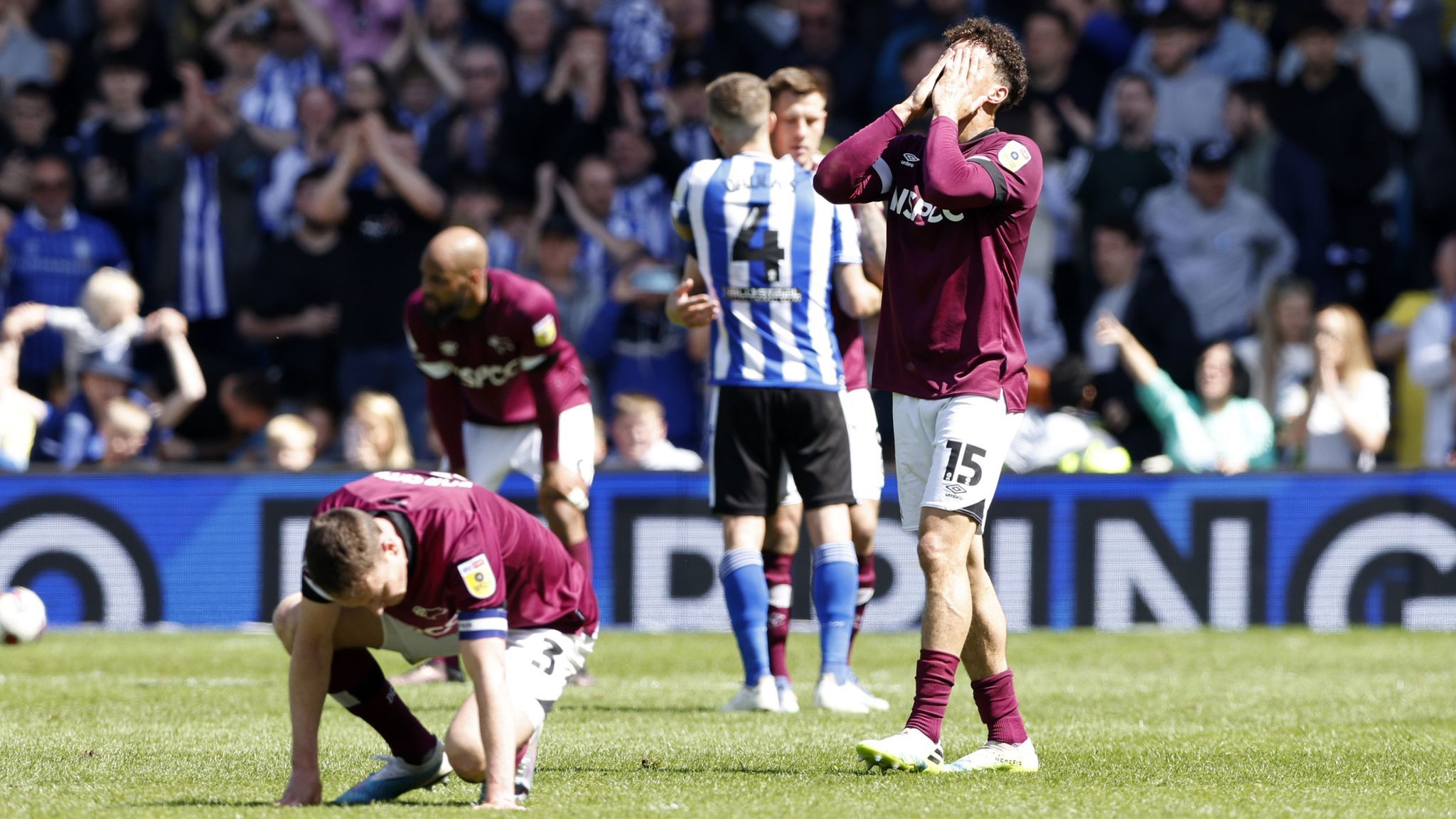 Derby County vs Sheffield Wednesday Prediction, Betting Tips & Odds | 01 DECEMBER 2024