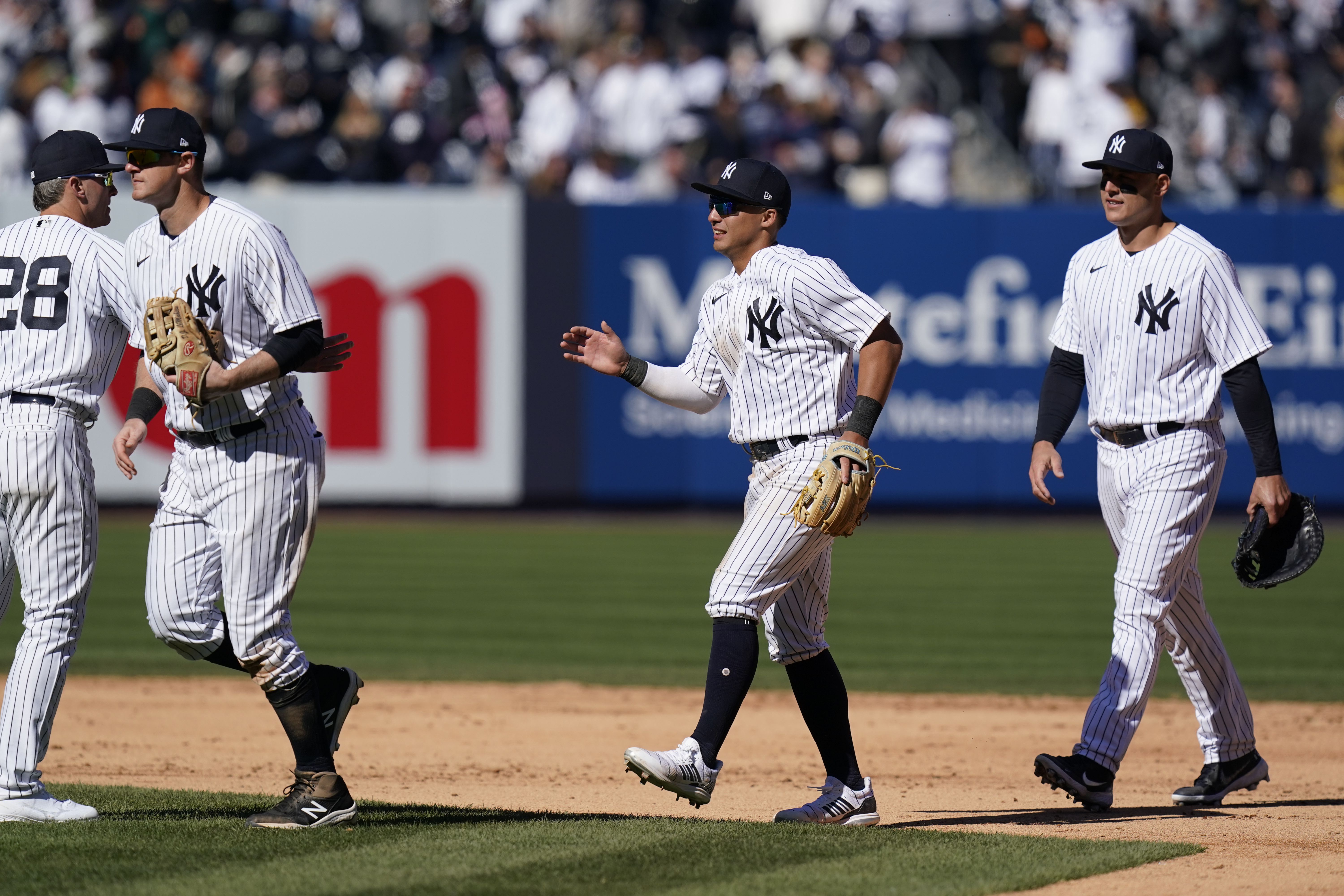 San Francisco Giants vs New York Yankees Prediction, Betting Tips & Odds | 02 JUNE 2024