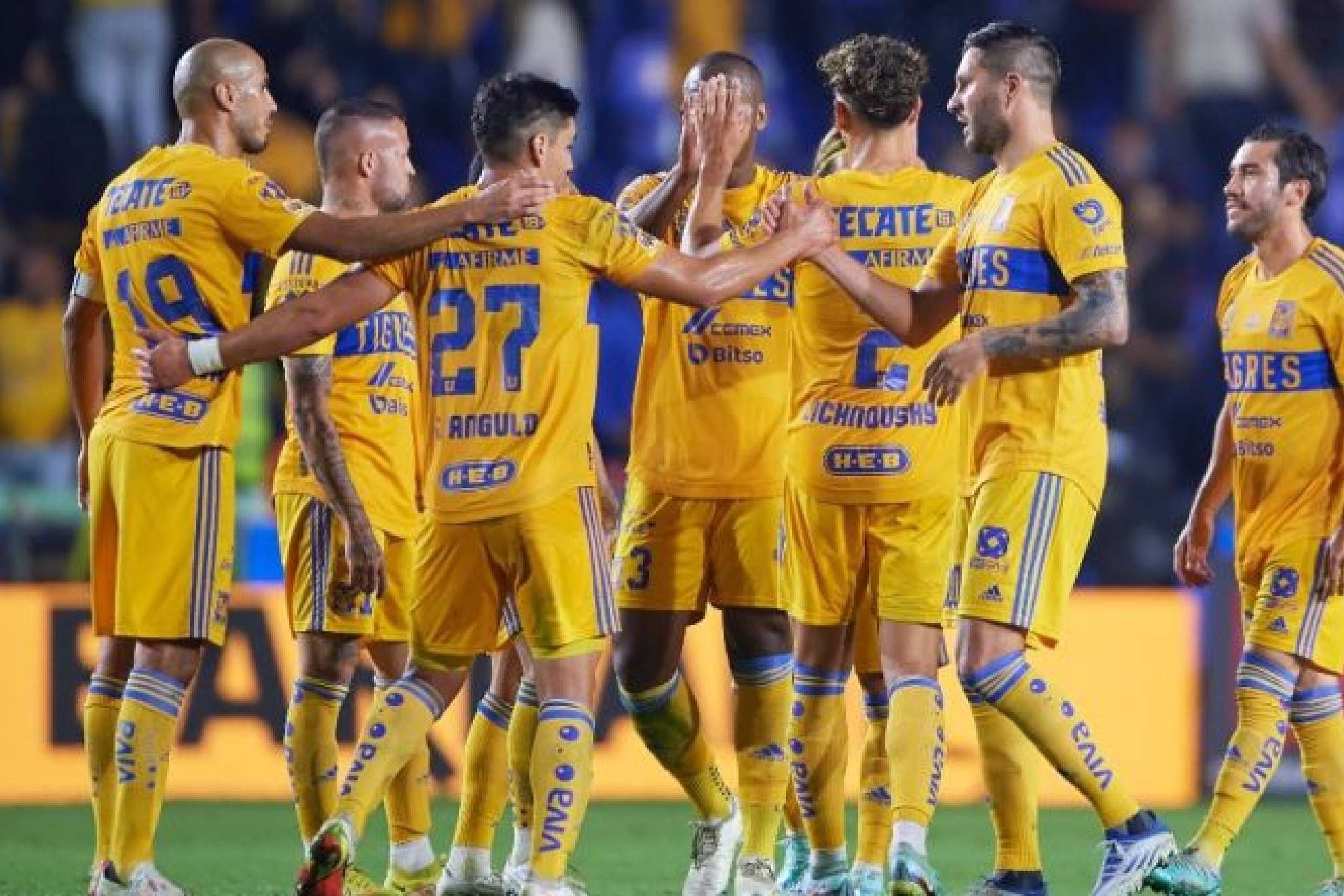 Pachuca vs Tigres Prediction, Betting Tips & Odds | 8 OCTOBER, 2023