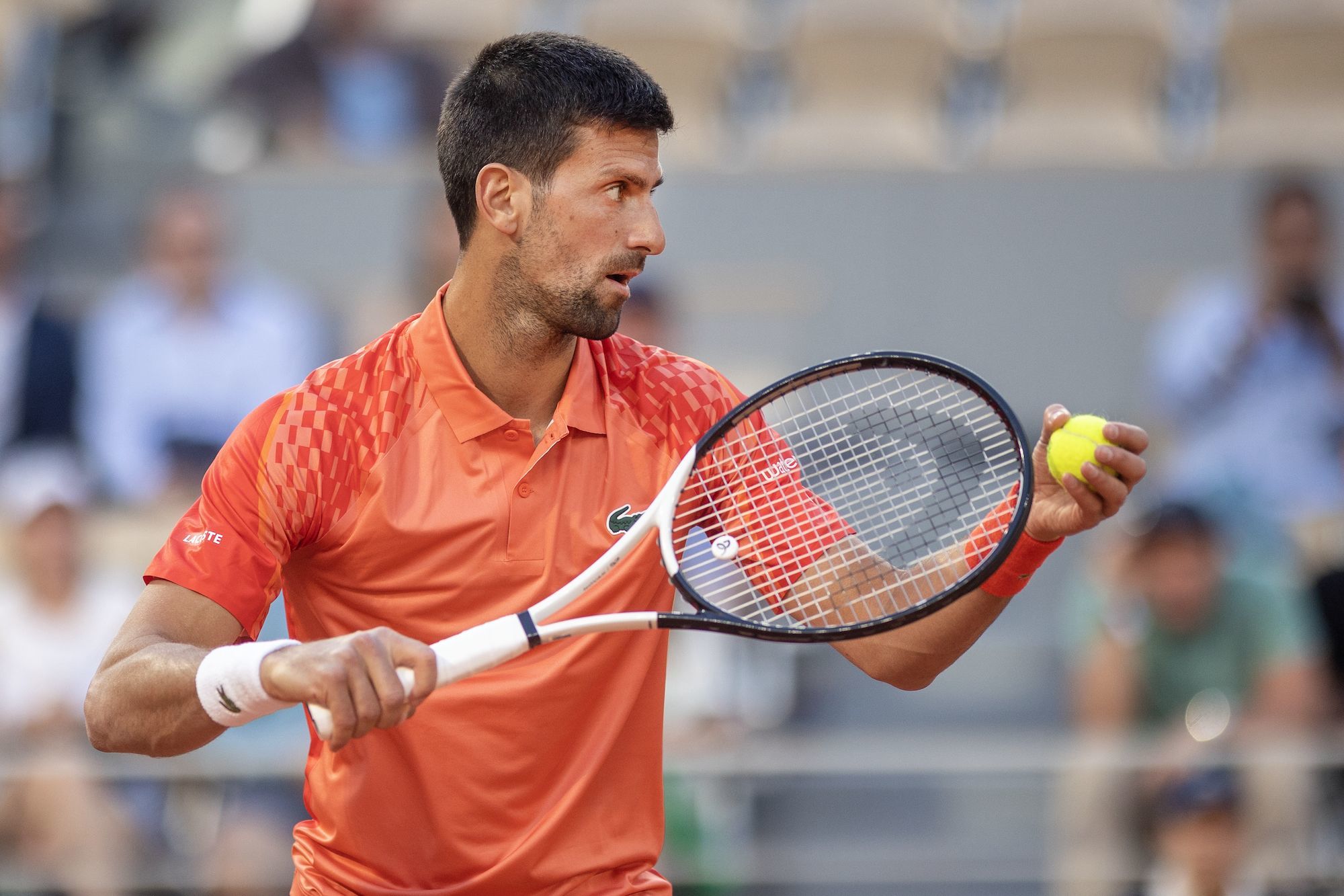 Alcaraz dice adiós; Djokovic y Ruud por la corona en Roland Garros