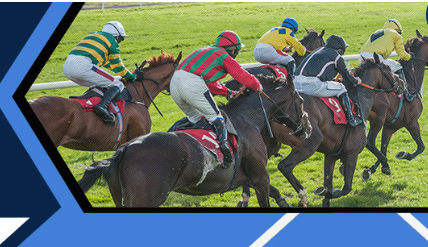 Sunbet Out Sprinted by a Donkey Bonus Special Bonus Up To R500