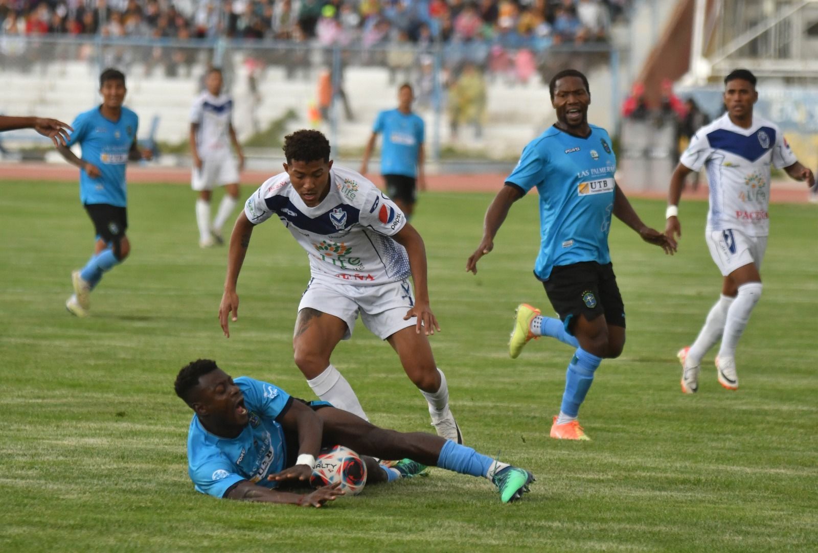 Bolivar vs GV San Jose Prediction, Betting Tips & Odds | 18 FEBRUARY 2024