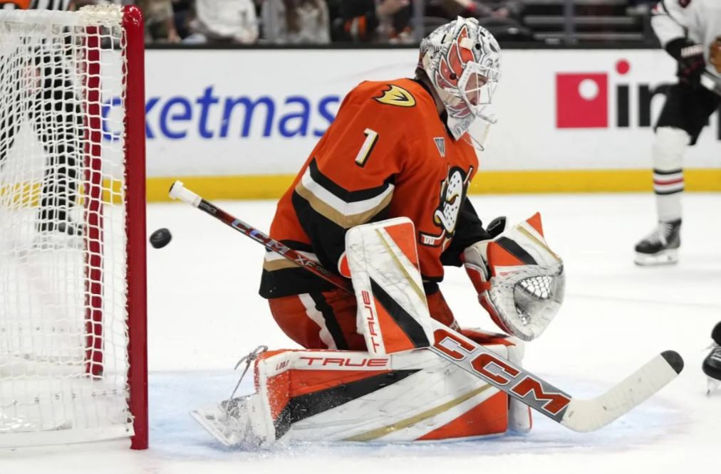 Anaheim Ducks vs Ottawa Senators Prediction, Betting Tips & Odds │2 DECEMBER, 2024