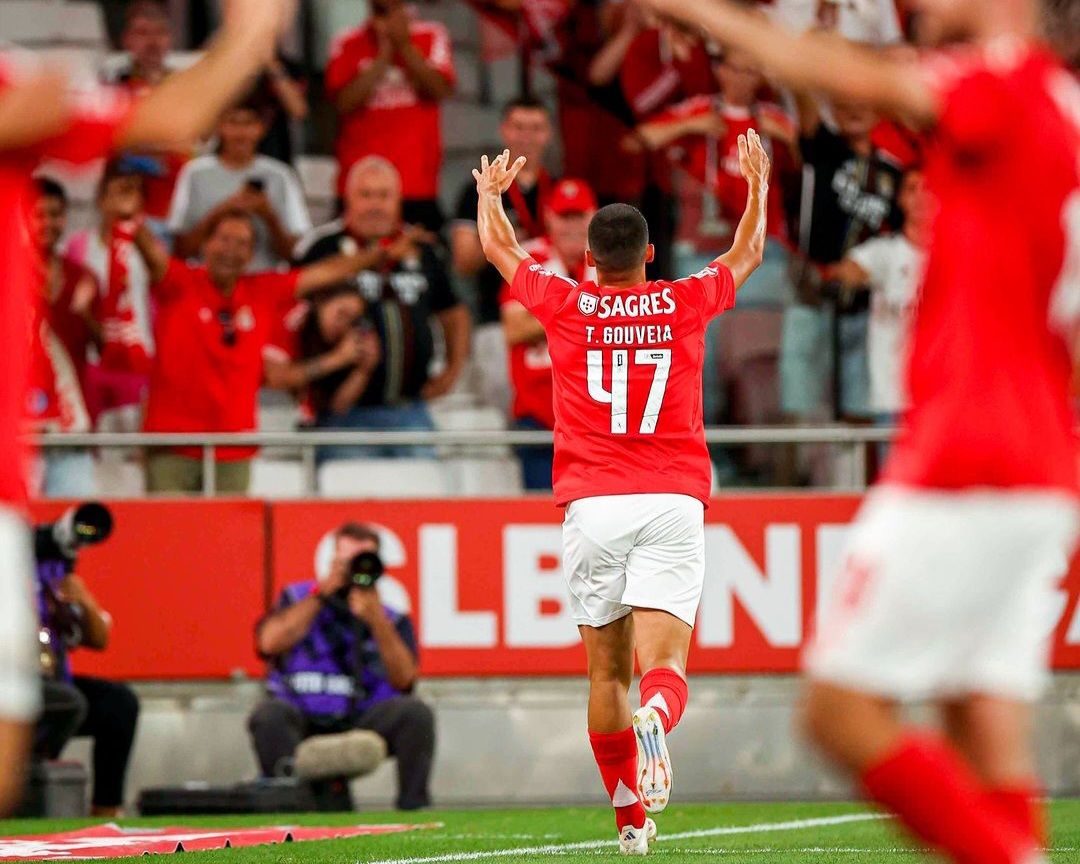 Benfica vs Estrela Amadora Prediction, Betting Tips & Odds | 24 AUGUST, 2024