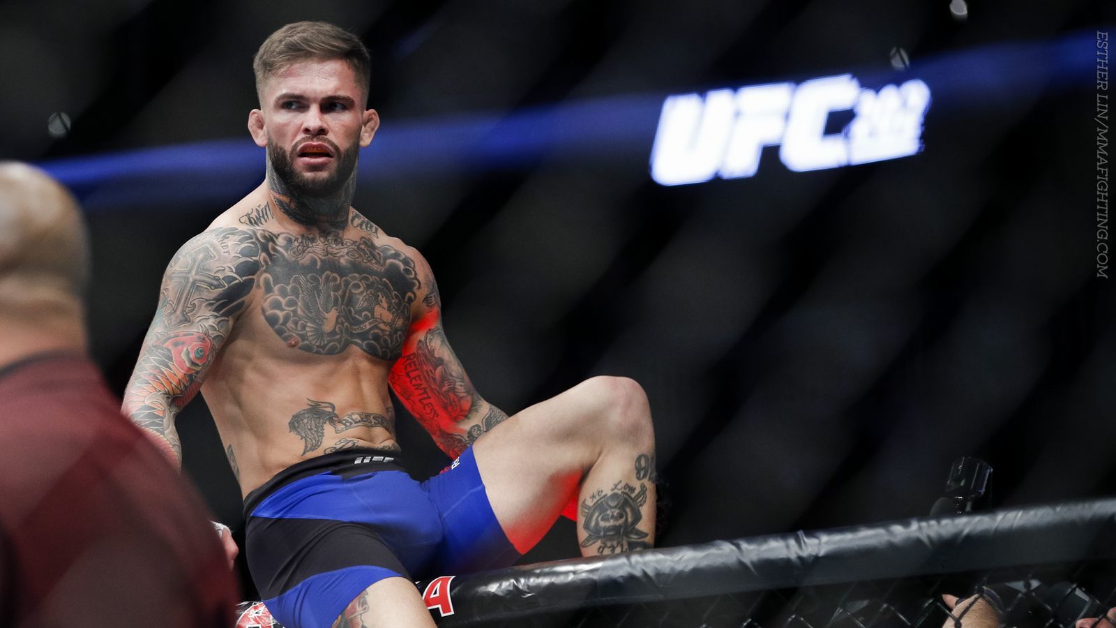 Deiveson Figueiredo vs Cody Garbrandt Prediction, Betting Tips & Odds │14 APRIL, 2024