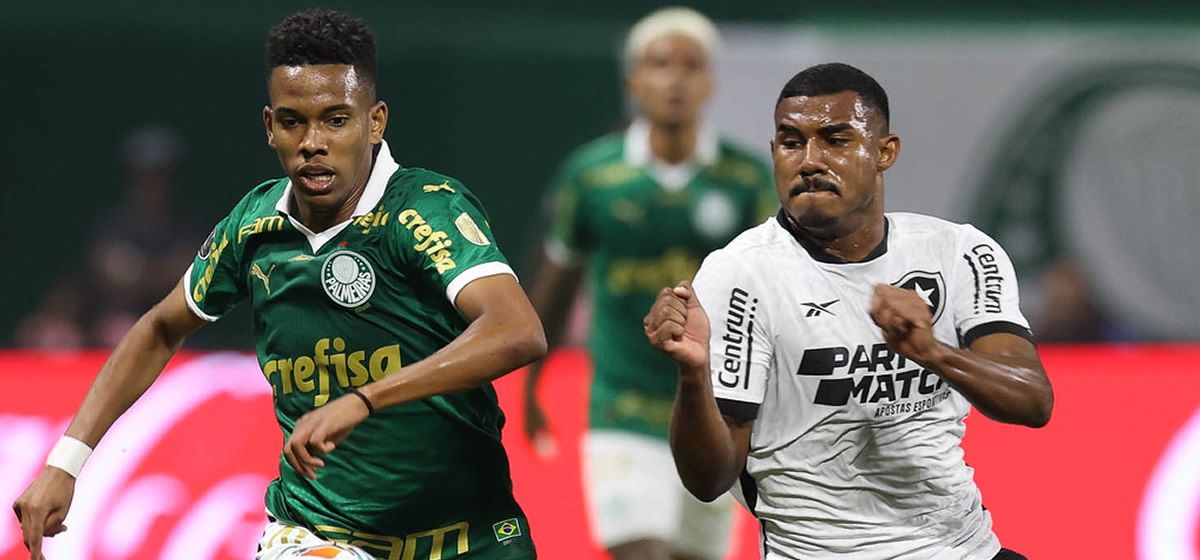 Palmeiras vs Botafogo Prediction, Betting Tips & Odds | 27 NOVEMBER 2024