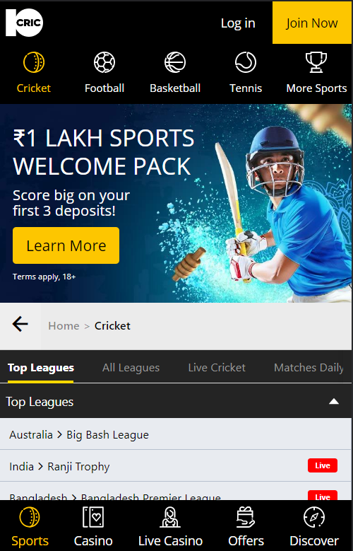 Placing bet on 10Cric cricket