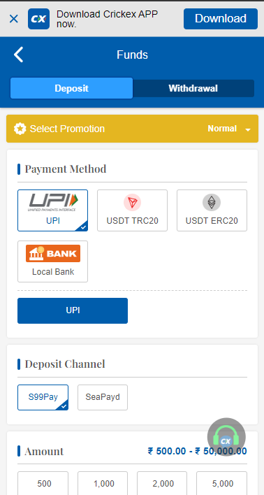 Depositing Funds in Wallet