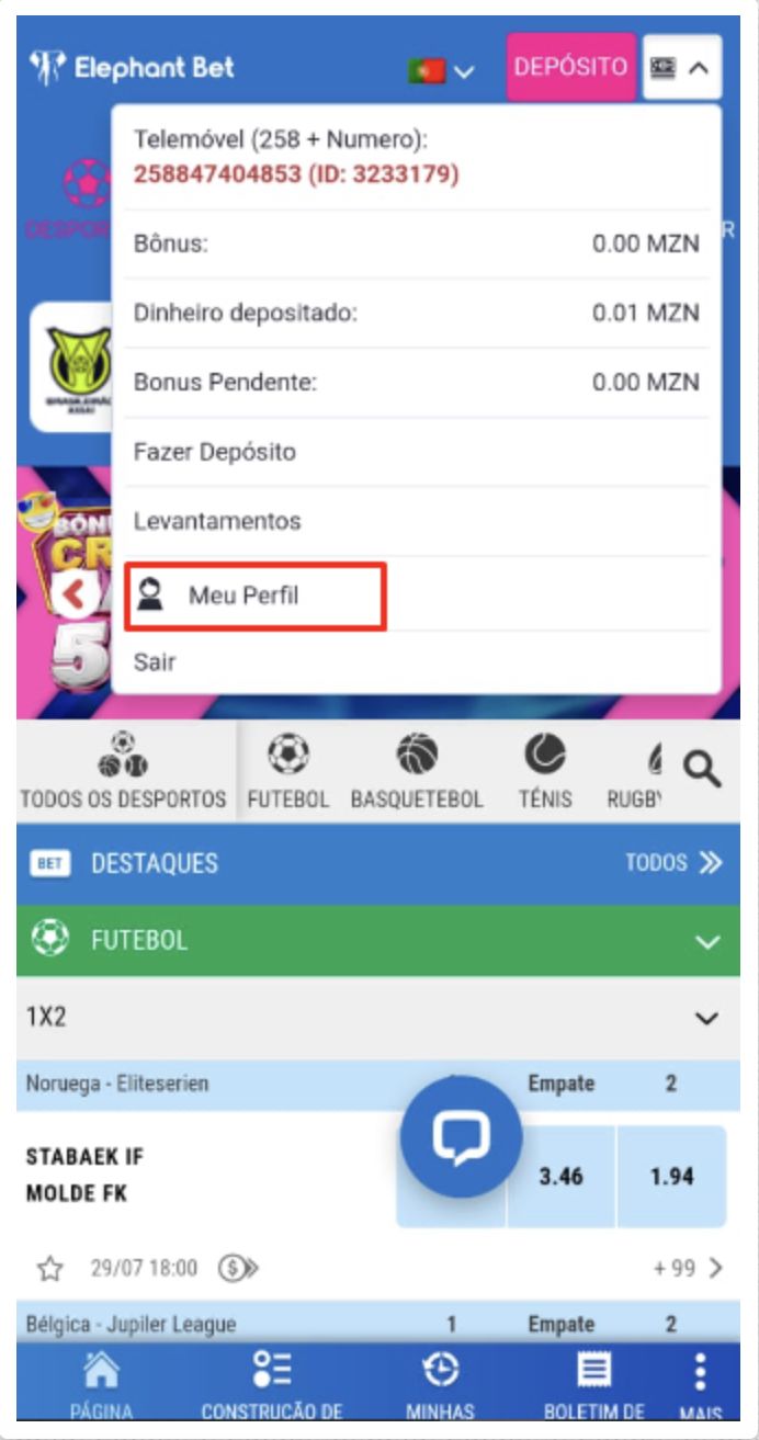Página inicial da Elephant Bet