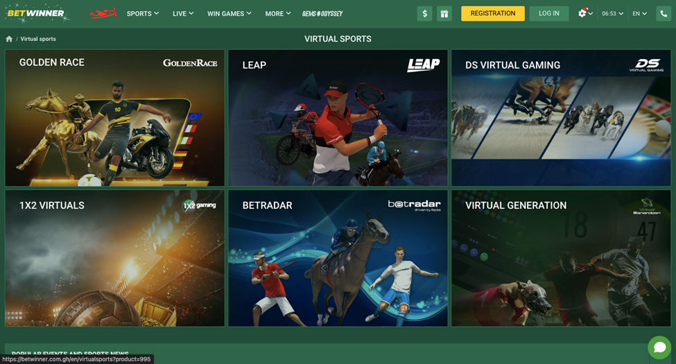 Virtual Sports