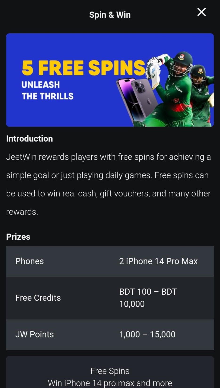 Jeetwin casino Mobile App version 